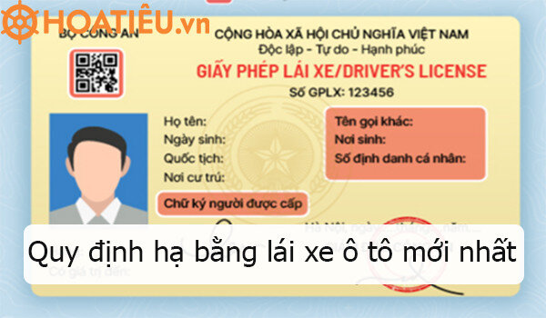Hướng dẫn chi tiết quy trình và điều kiện gia hạn giấy phép lái xe B2 cho người trên 60 tuổi