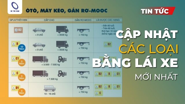 Phân tích chuyên sâu từng loại bằng lái xe ô tô phổ biến tại Việt Nam