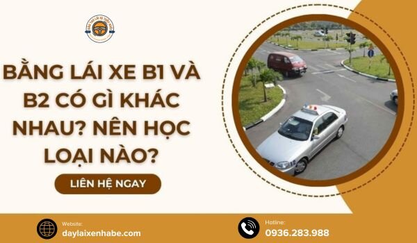 So sánh bằng lái xe ô tô B1 và B2: Xác định điểm khác biệt chính